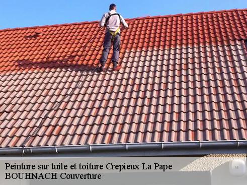 Peinture sur tuile et toiture crepieux-la-pape-69140 BOUHNACH Couverture