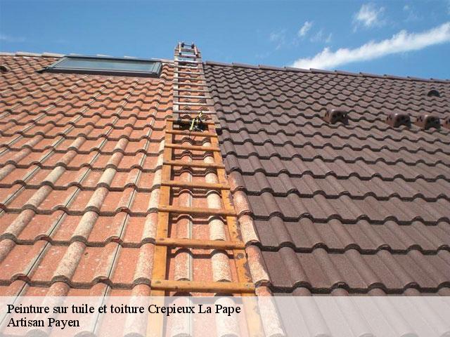 Peinture sur tuile et toiture  crepieux-la-pape-69140 Artisan Payen