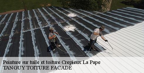 peinture-sur-tuile-et-toiture-tanguy-toiture-facade-1