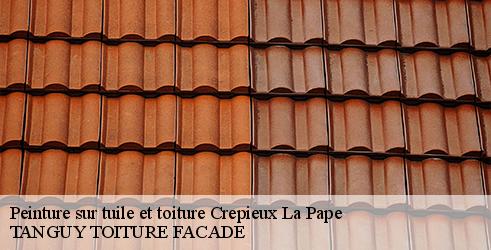peinture-sur-tuile-et-toiture-tanguy-toiture-facade-4