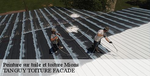 peinture-sur-tuile-et-toiture-tanguy-toiture-facade-1