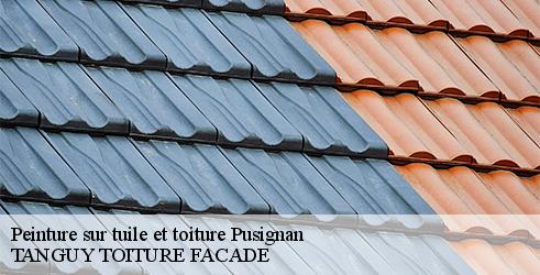 peinture-sur-tuile-et-toiture-tanguy-toiture-facade-10