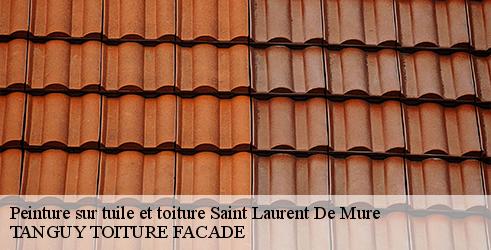 peinture-sur-tuile-et-toiture-tanguy-toiture-facade-4