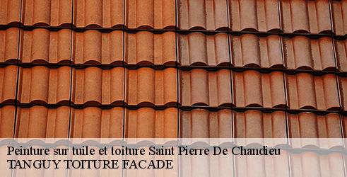 peinture-sur-tuile-et-toiture-tanguy-toiture-facade-4