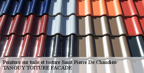 peinture-sur-tuile-et-toiture-tanguy-toiture-facade-7