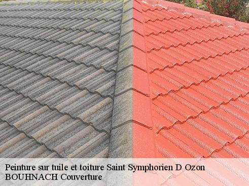 Peinture sur tuile et toiture saint-symphorien-d-ozon-69360 BOUHNACH Couverture