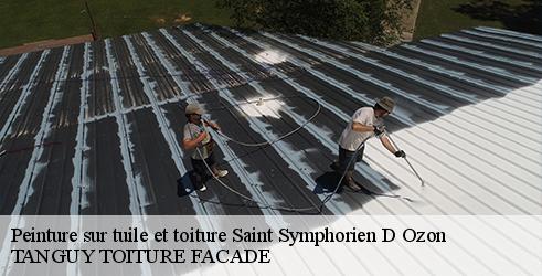 peinture-sur-tuile-et-toiture-tanguy-toiture-facade-1