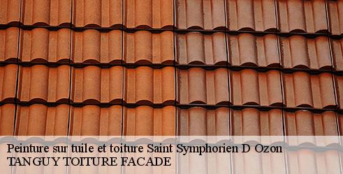 peinture-sur-tuile-et-toiture-tanguy-toiture-facade-4