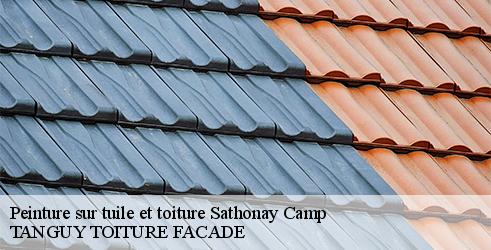 peinture-sur-tuile-et-toiture-tanguy-toiture-facade-10