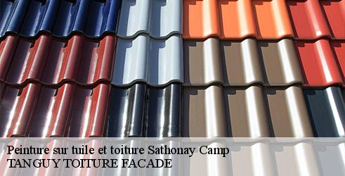 peinture-sur-tuile-et-toiture-tanguy-toiture-facade-7