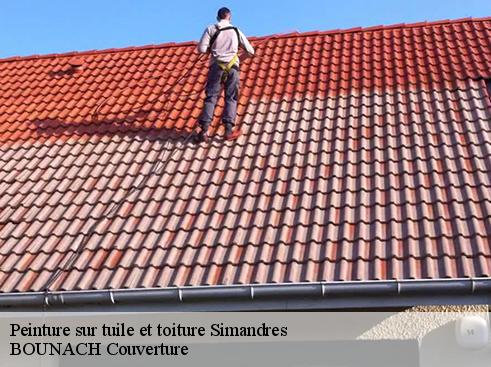Peinture sur tuile et toiture simandres-69360 BOUNACH Couverture