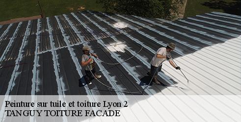 peinture-sur-tuile-et-toiture-tanguy-toiture-facade-1