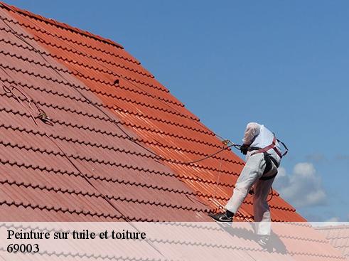 Peinture sur tuile et toiture lyon-3-69003 BOUNACH Couverture