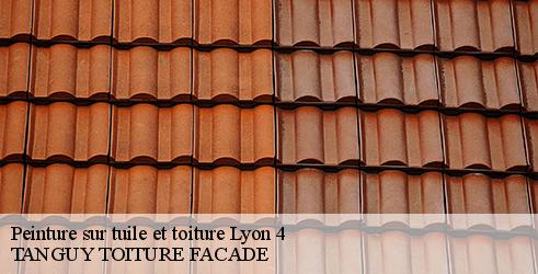 peinture-sur-tuile-et-toiture-tanguy-toiture-facade-4