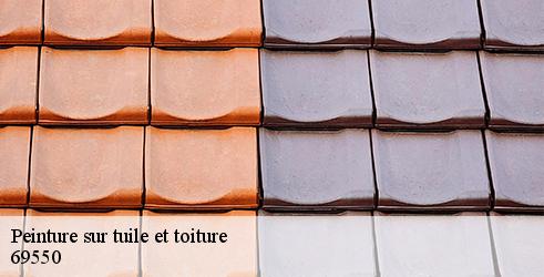 peinture-sur-tuile-et-toiture-tanguy-toiture-facade-5