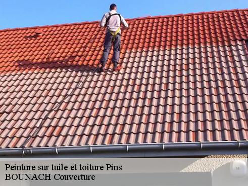Peinture sur tuile et toiture  pins-69440 BOUNACH Couverture 