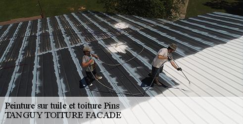 peinture-sur-tuile-et-toiture-tanguy-toiture-facade-1