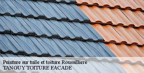 peinture-sur-tuile-et-toiture-tanguy-toiture-facade-10