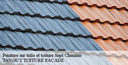 peinture-sur-tuile-et-toiture-tanguy-toiture-facade-10