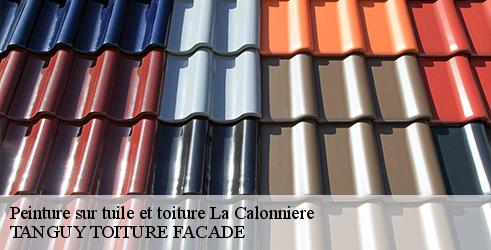 peinture-sur-tuile-et-toiture-tanguy-toiture-facade-7