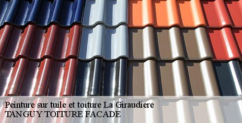 peinture-sur-tuile-et-toiture-tanguy-toiture-facade-7