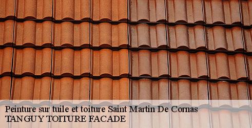 peinture-sur-tuile-et-toiture-tanguy-toiture-facade-4