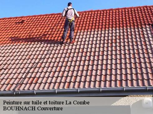 Peinture sur tuile et toiture la-combe-69400 BOUHNACH Couverture