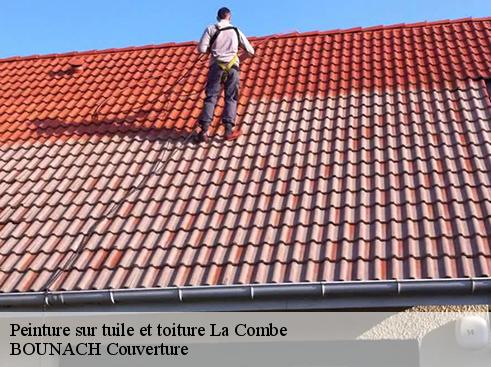 Peinture sur tuile et toiture la-combe-69400 BOUNACH Couverture