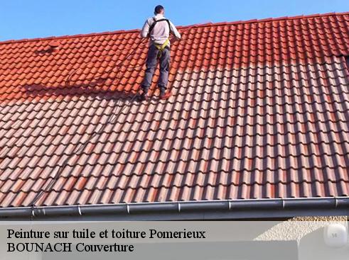 Peinture sur tuile et toiture pomerieux-69560 BOUNACH Couverture