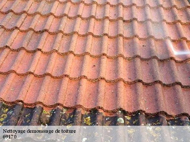 Nettoyage demoussage de toiture  affoux-69170 Artisan Payen
