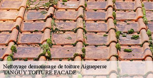 nettoyage-demoussage-de-toiture-tanguy-toiture-facade-10