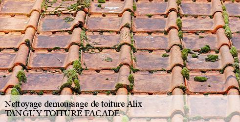 nettoyage-demoussage-de-toiture-tanguy-toiture-facade-10