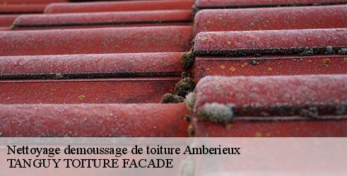 nettoyage-demoussage-de-toiture-tanguy-toiture-facade-7