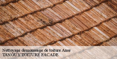 nettoyage-demoussage-de-toiture-tanguy-toiture-facade-4