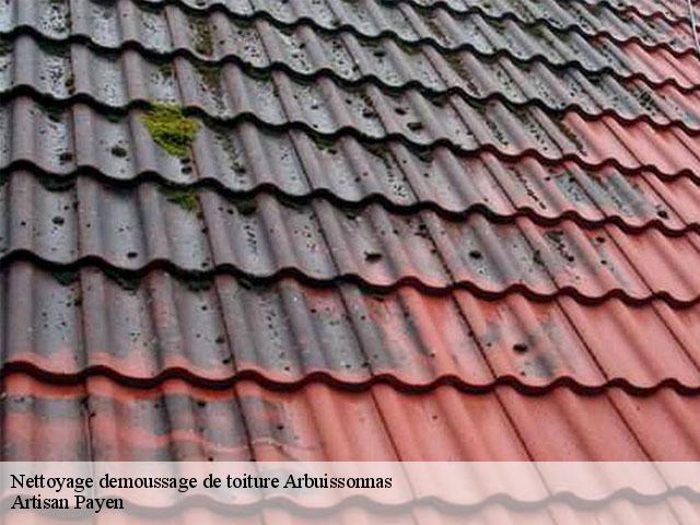 Nettoyage demoussage de toiture  arbuissonnas-69460 Artisan Payen