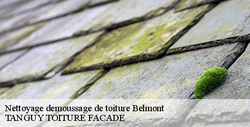 nettoyage-demoussage-de-toiture-tanguy-toiture-facade-1