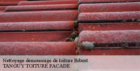 nettoyage-demoussage-de-toiture-tanguy-toiture-facade-7