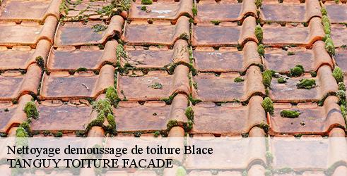 nettoyage-demoussage-de-toiture-tanguy-toiture-facade-10