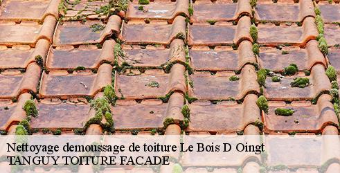 nettoyage-demoussage-de-toiture-tanguy-toiture-facade-10