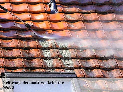 Nettoyage demoussage de toiture  brussieu-69690 Artisan Payen