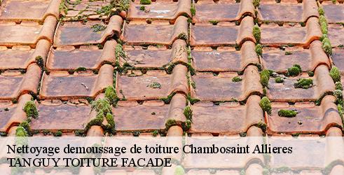 nettoyage-demoussage-de-toiture-tanguy-toiture-facade-10