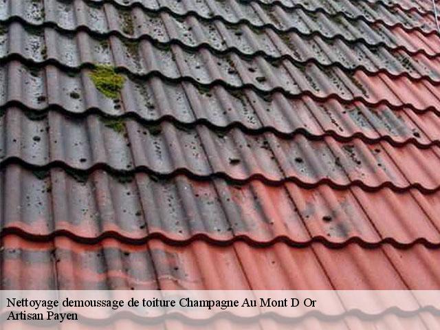 Nettoyage demoussage de toiture  champagne-au-mont-d-or-69410 Artisan Payen
