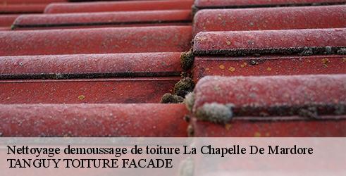 nettoyage-demoussage-de-toiture-tanguy-toiture-facade-7