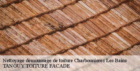 nettoyage-demoussage-de-toiture-tanguy-toiture-facade-4