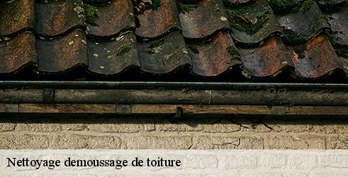 nettoyage-demoussage-de-toiture-tanguy-toiture-facade-6