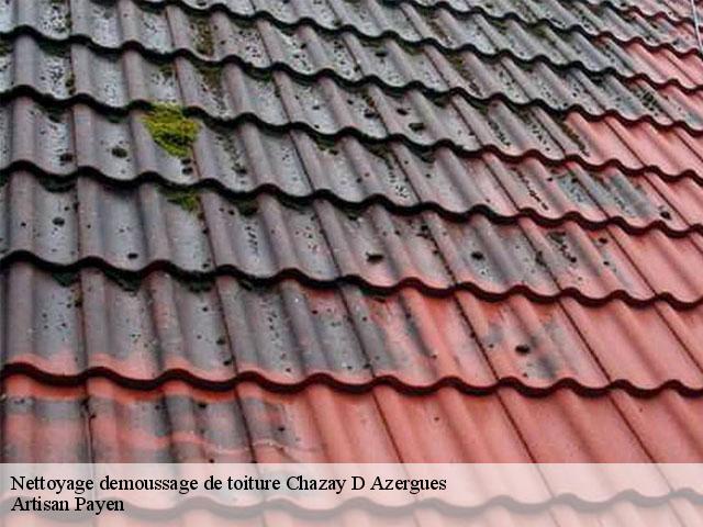 Nettoyage demoussage de toiture  chazay-d-azergues-69380 Artisan Payen