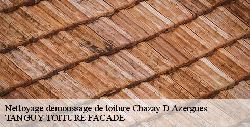 nettoyage-demoussage-de-toiture-tanguy-toiture-facade-4