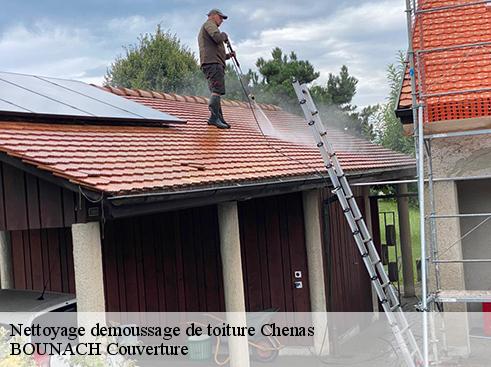 Nettoyage demoussage de toiture chenas-69840 BOUNACH Couverture