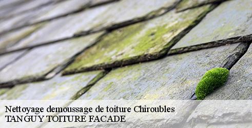 nettoyage-demoussage-de-toiture-tanguy-toiture-facade-1