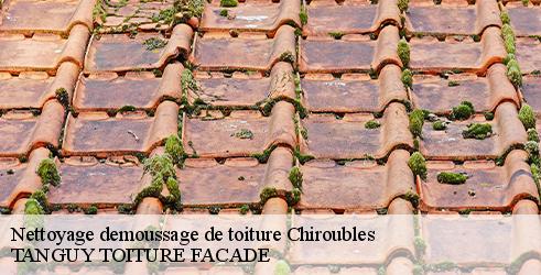nettoyage-demoussage-de-toiture-tanguy-toiture-facade-10